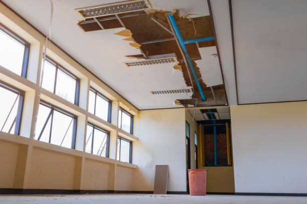  Volcano Golf Course, HI Water damage restoration Pros