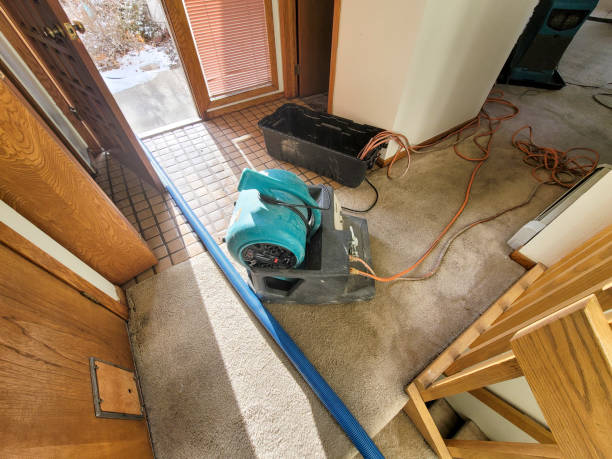 Best Commercial water damage restoration  in Volcano Golf Course, HI