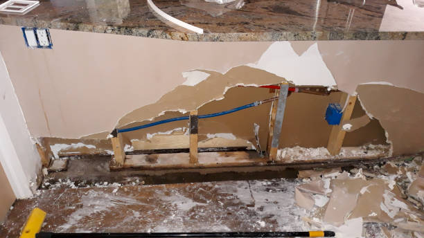 Best Water damage cleanup near me  in Volcano Golf Course, HI