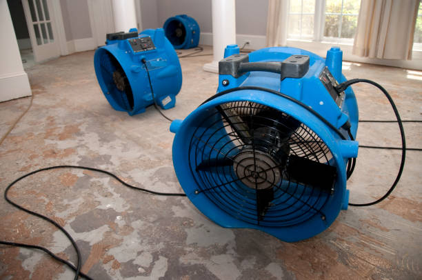 Best Flooded house restoration  in Volcano Golf Course, HI