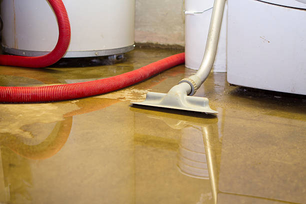 Best Local water damage restoration  in Volcano Golf Course, HI