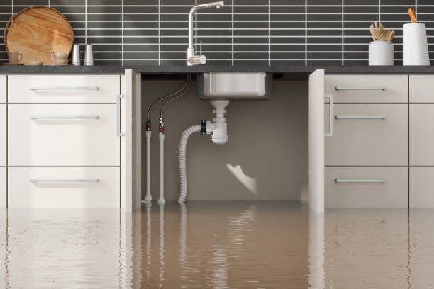 Best Mold removal after water damage  in Volcano Golf Course, HI