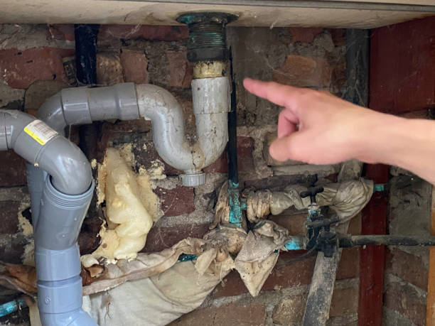 Best 24/7 water damage repair  in Volcano Golf Course, HI