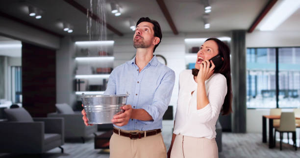 Best Flood restoration services  in Volcano Golf Course, HI